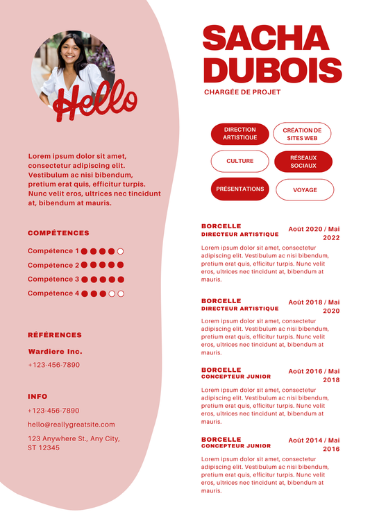 Pack CV Premium + Prompts ChatGPT