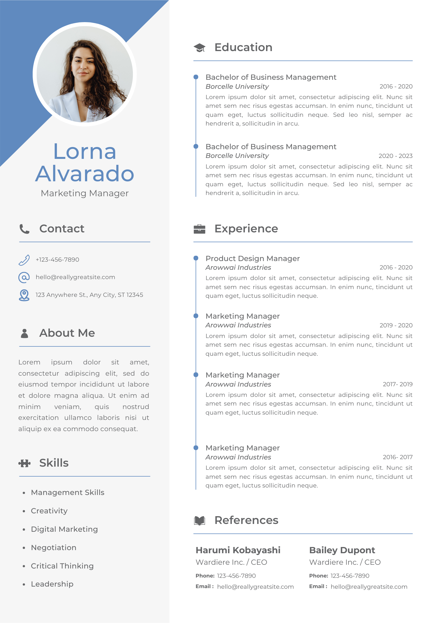 Pack CV Premium + Prompts ChatGPT
