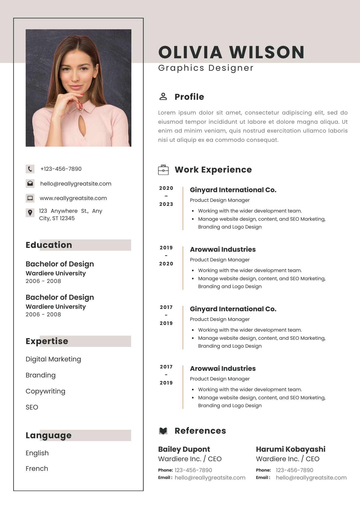 Pack CV Premium + Prompts ChatGPT